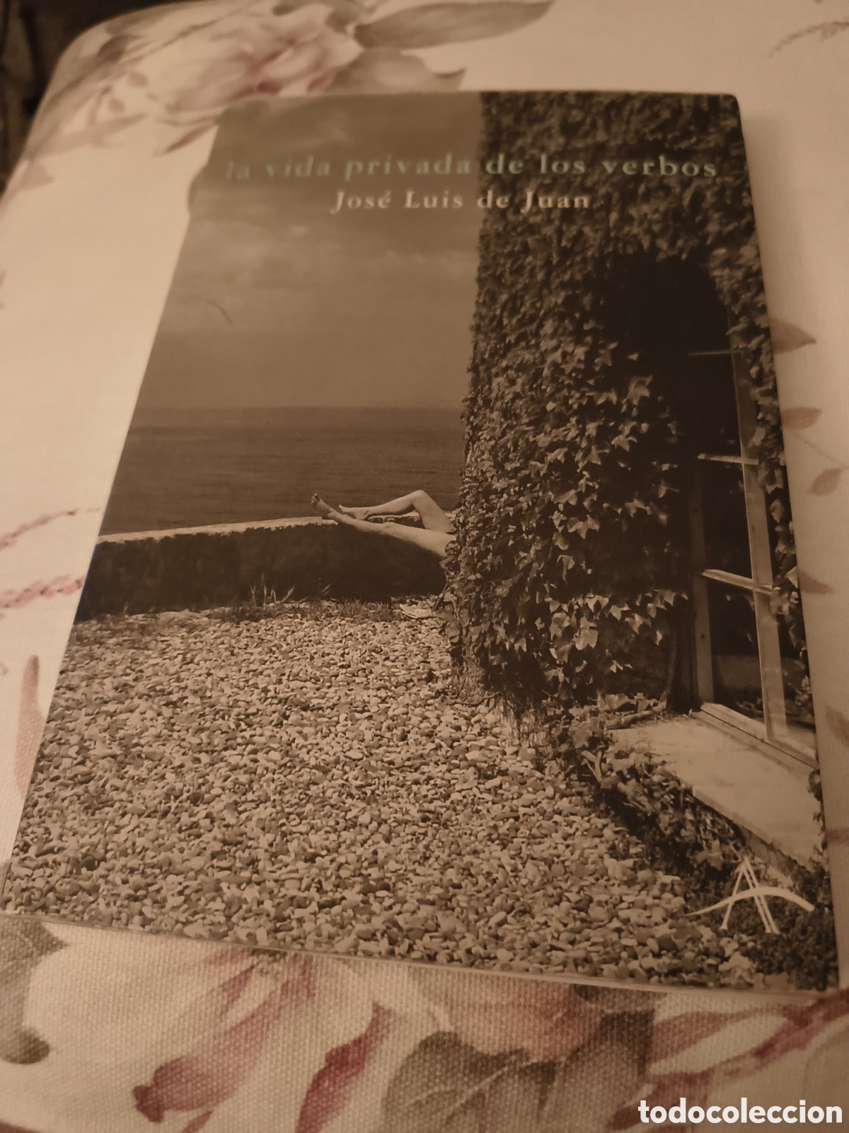 Libros de segunda mano: LA VIDA PRIVADA DE LOS VERBOS DE JOSE LUIS DE JUAN (ALBA)