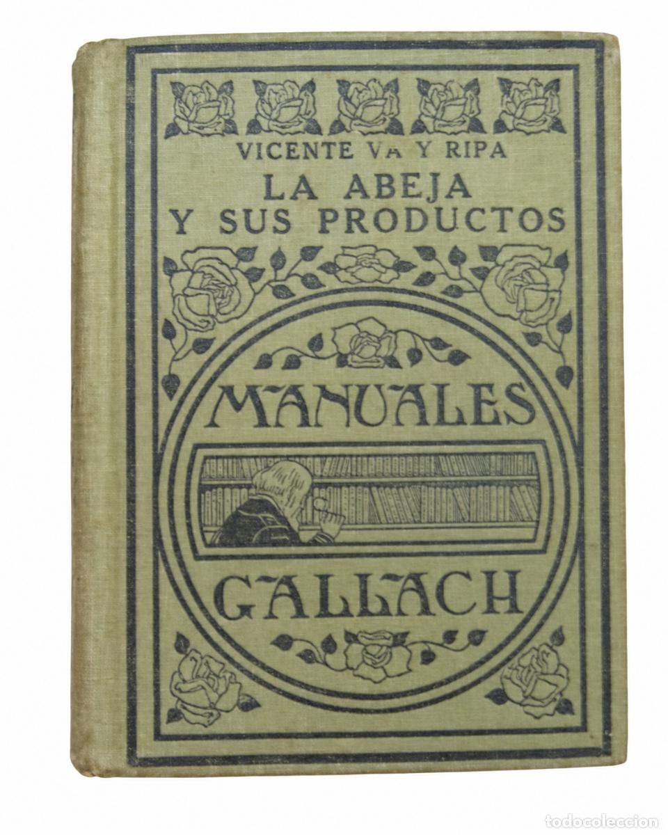 Libros de segunda mano: VICENTE VA Y RIPA &ndash; LA ABEJA Y SUS PRODUCTOS &ndash; MANUALES GALLACH &ndash; s/f &ndash; LM