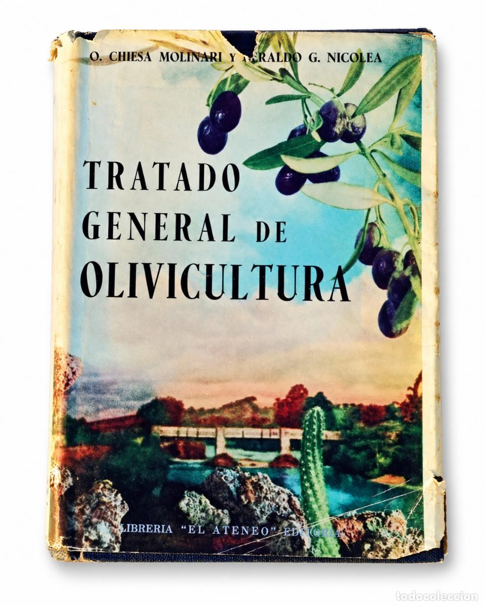 Libros de segunda mano: O. CHIESA MOLINARI &ndash; GERALDO G. NICOLEA &ndash; TRATADO GENERAL DE OLIVICULTURA &ndash; LM