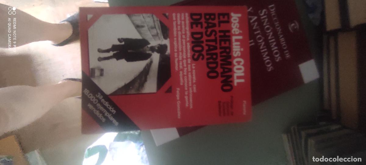 Libros de segunda mano: El hermano bastardo de Dios