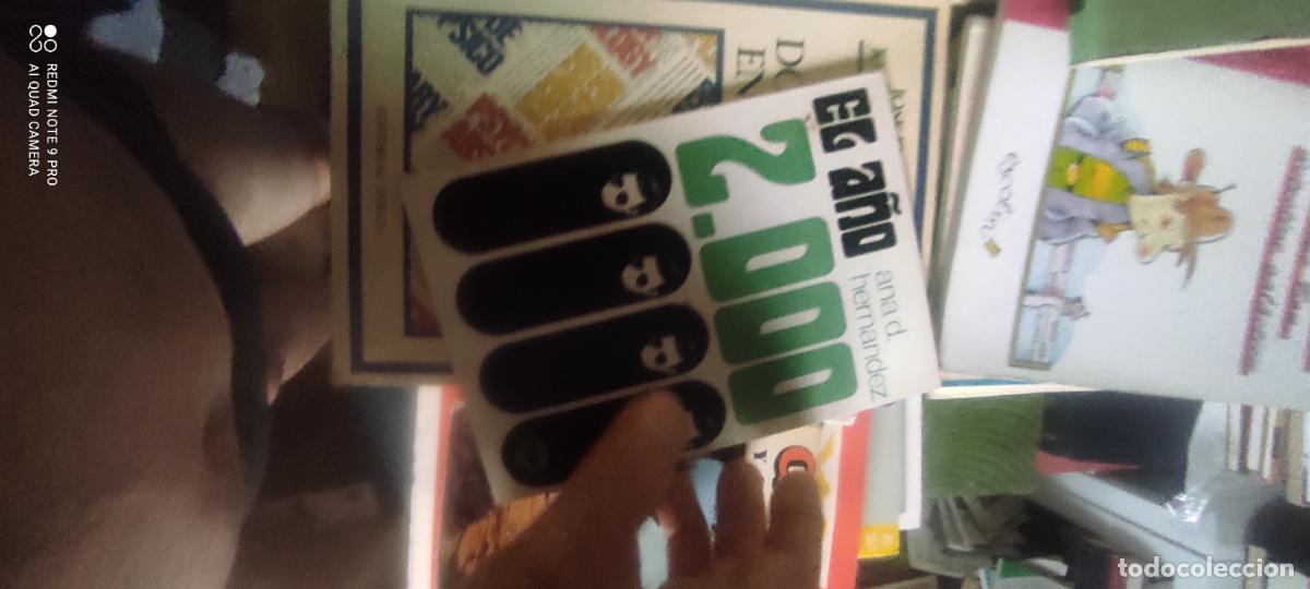 Gebrauchte B&uuml;cher: El a&ntilde;o 2000: Hern&aacute;ndez, Ana D..- Hern&aacute;ndez, Ana D. l