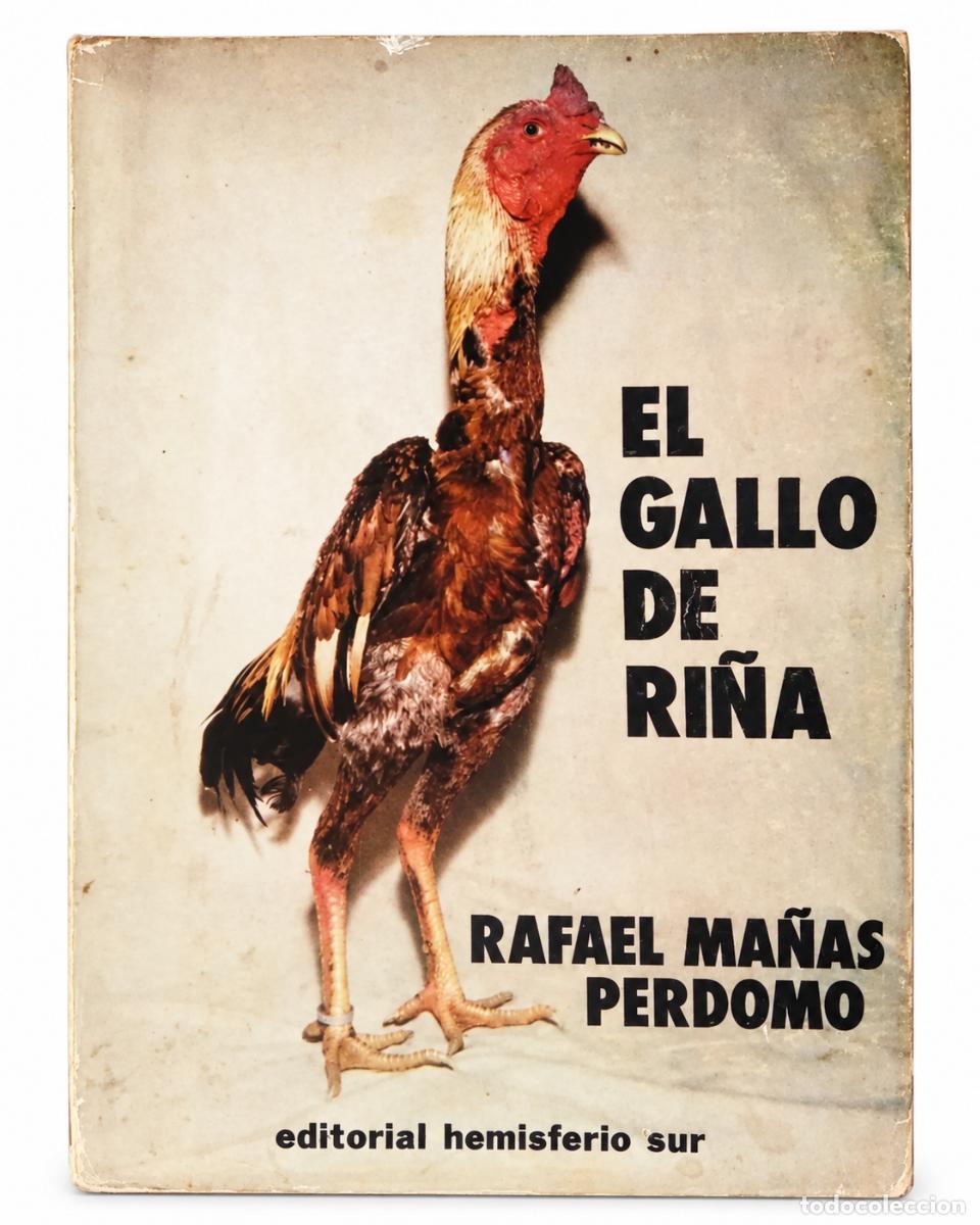 Libros de segunda mano: RAFAEL MA&Ntilde;AS PERDOMO &ndash; EL GALLO DE RI&Ntilde;A &ndash; LM