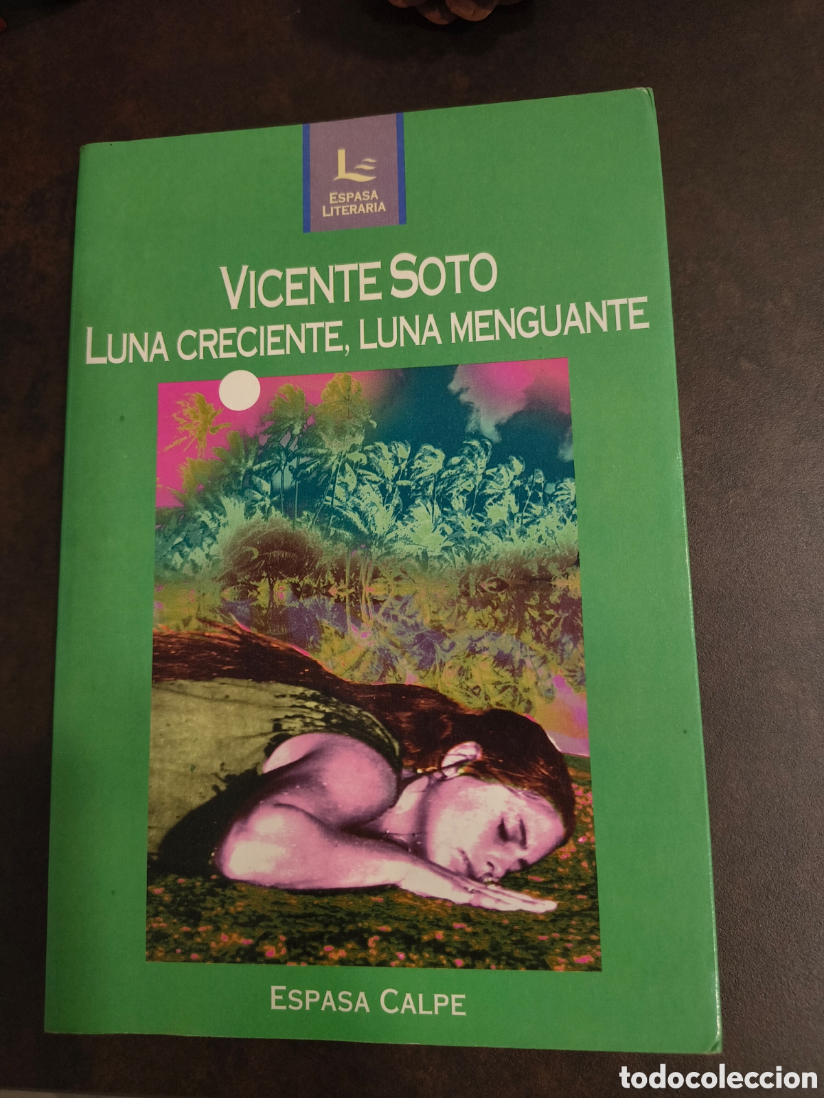 Libros de segunda mano: LUNA CRECIENTE, LUNA MENGUANTE DE VICENTE SOTO (ESPASA CALPE)