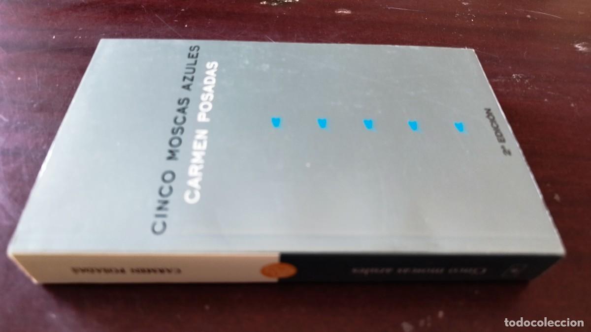 Libros de segunda mano: CINCO MOSCAS AZULES / CARMEN POSADAS / CJA 601 / SANTILLANA