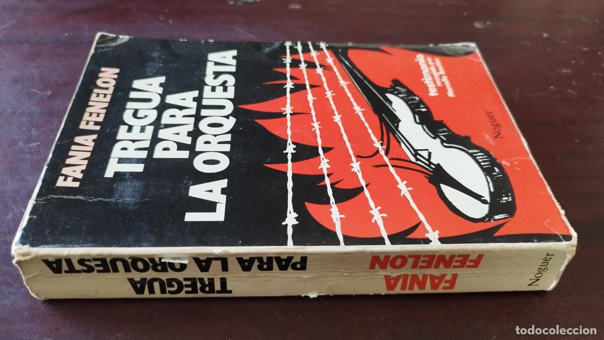 Libros de segunda mano: TREGUA PARA LA ORQUESTA / FANIA FENELONI / CJA 601 / NOGUER