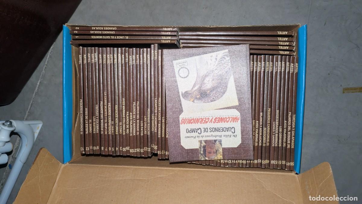 Libros de segunda mano: Colecci&oacute;n completa Cuadernos de Campo de F&eacute;lix Rodr&iacute;guez de la Fuente, editorial Artel