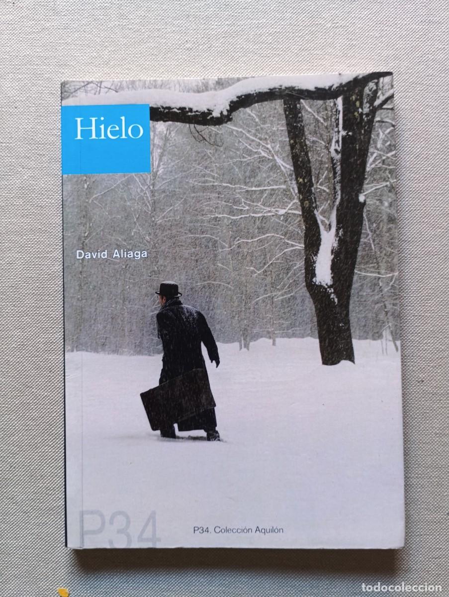 Libros de segunda mano: Hielo. David Aliaga. p34.