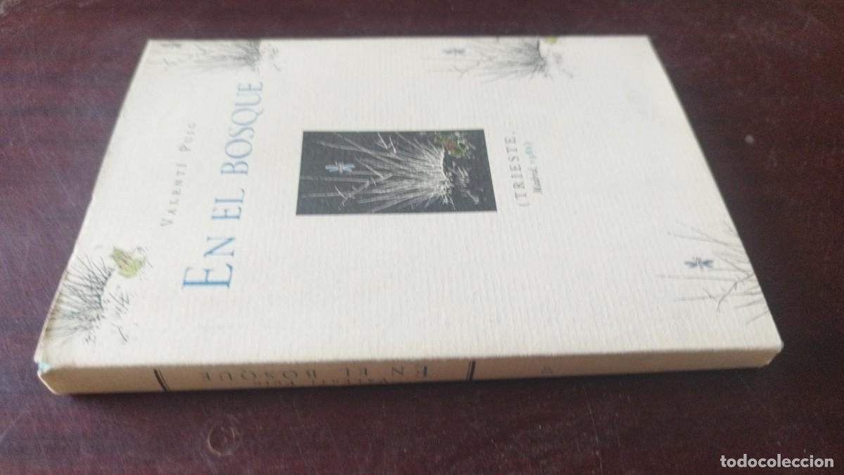 Libros de segunda mano: EN EL BOSQUE / VALENTI PUIG / CJA 605