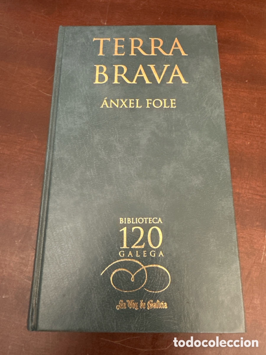 Libros de segunda mano: TERRA BRAVA -- ANXEL FOLE -- BIBLIOTECA GALEGA -- 2002
