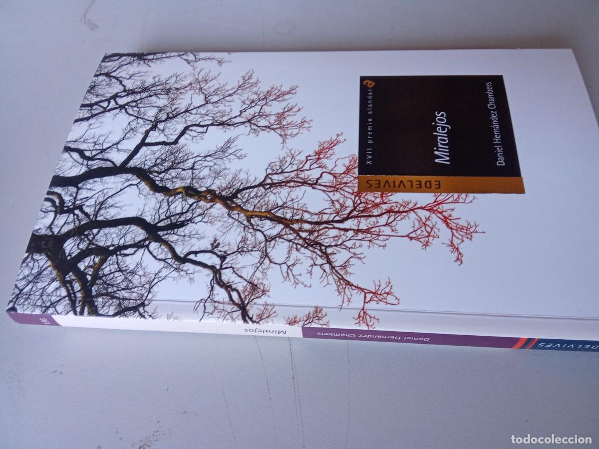 Libros de segunda mano: MIRALEJOS / DANIEL HERNANDEZ CHAMBERS / EVA 206 / EDELVIVES