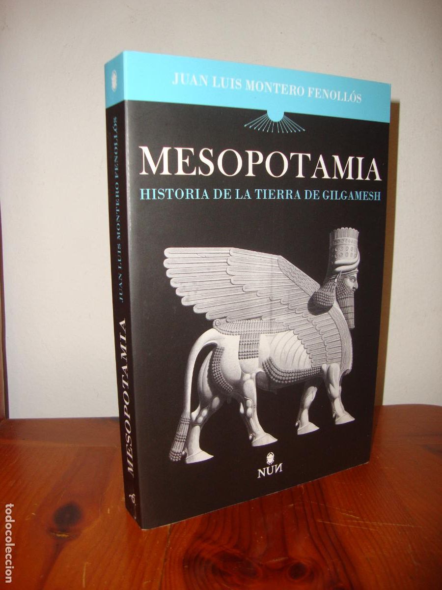 Libri di seconda mano: MESOPOTAMIA. HISTORIA DE LA TIERRA DE GILGAMESH (ERASMUS EDICIONES) - JUAN LUIS MONTERO FENOLLOS