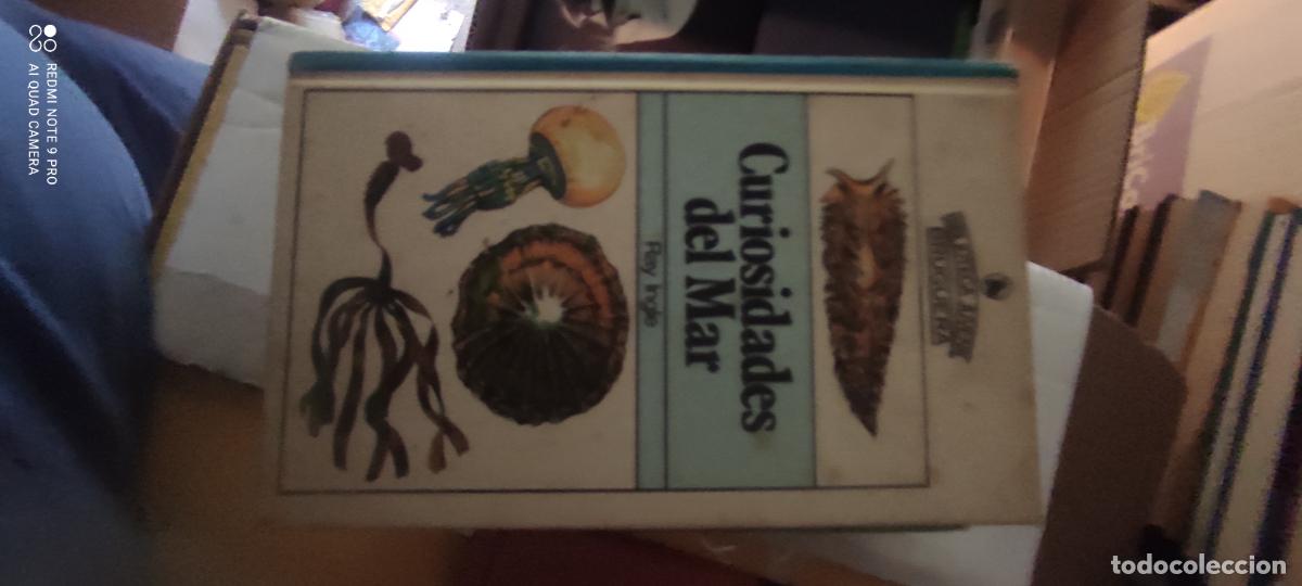Libros de segunda mano: Curiosidades del mar - Foto 1