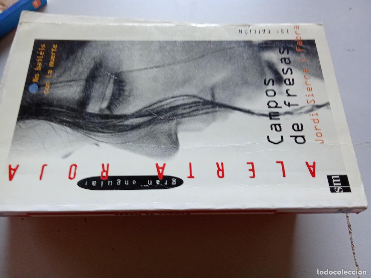 Libros de segunda mano: CAMPOS DE FRESAS / JORDI SIERRA I FABRA / TXT 103 / SM