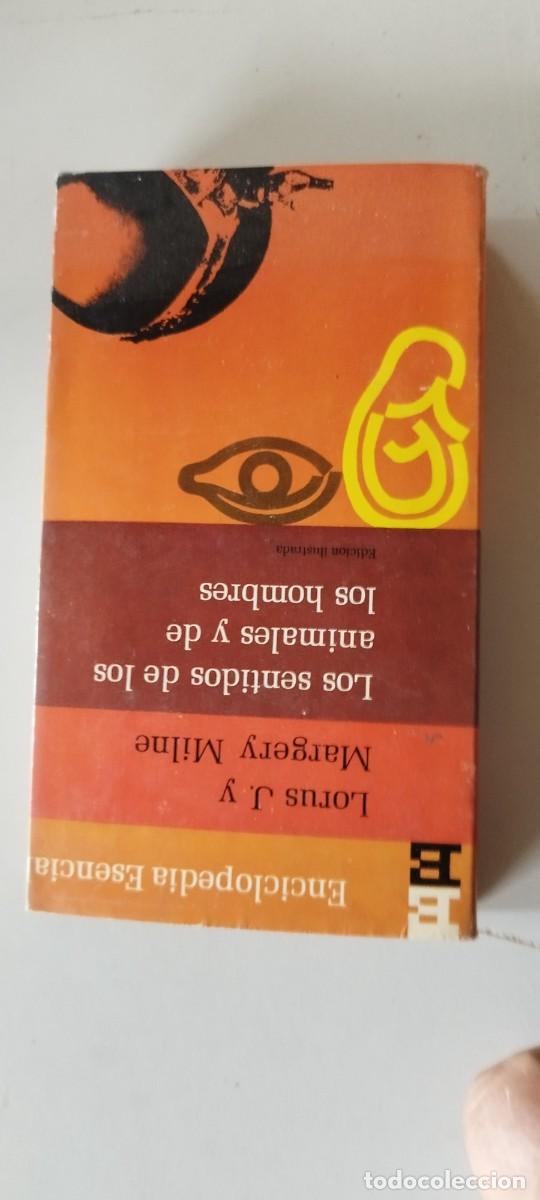 Libros de segunda mano: LOS SENTIDOS DE LOS ANIMALES Y DE LOS HOMBRES / Lorus J. y Margery Milne / TXT 119