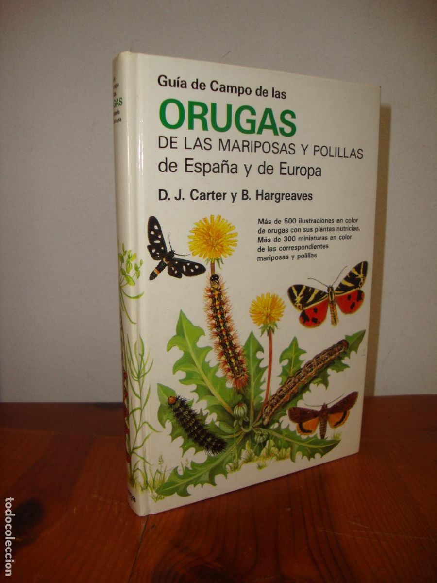 Second hand books: GUIA DE CAMPO DE LAS ORUGAS DE LAS MARIPOSAS Y POLILLAS DE ESPA&Ntilde;A Y DE EUROPA (OMEGA) - CARTER