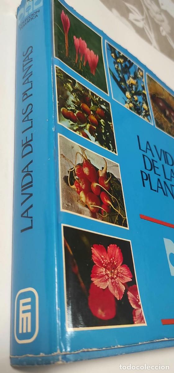 Libros de segunda mano: LA VIDA DE LAS PLANTAS - COLECCION TEMATICA - Foto 2