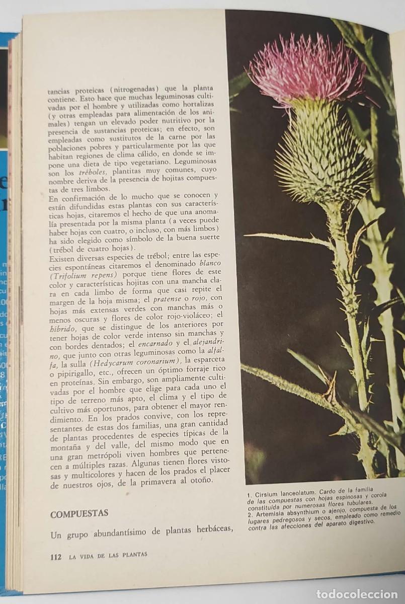 Libros de segunda mano: LA VIDA DE LAS PLANTAS - COLECCION TEMATICA - Foto 3