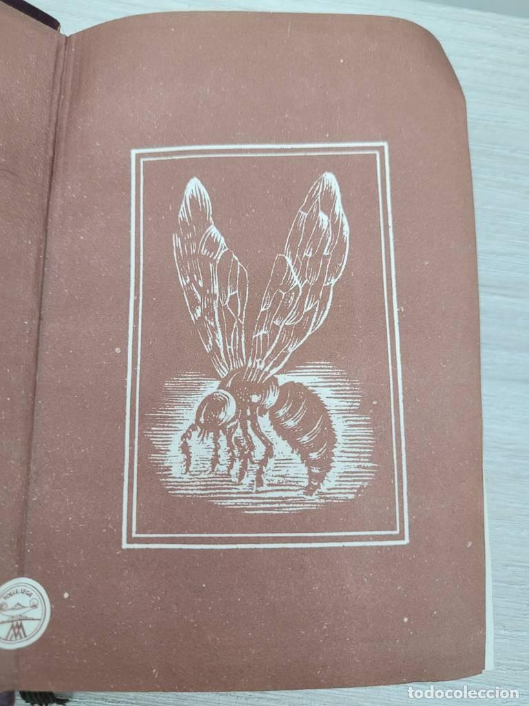 Libros de segunda mano: LIBRO EL EPIGRAMA ESPA&Ntilde;OL - Foto 5