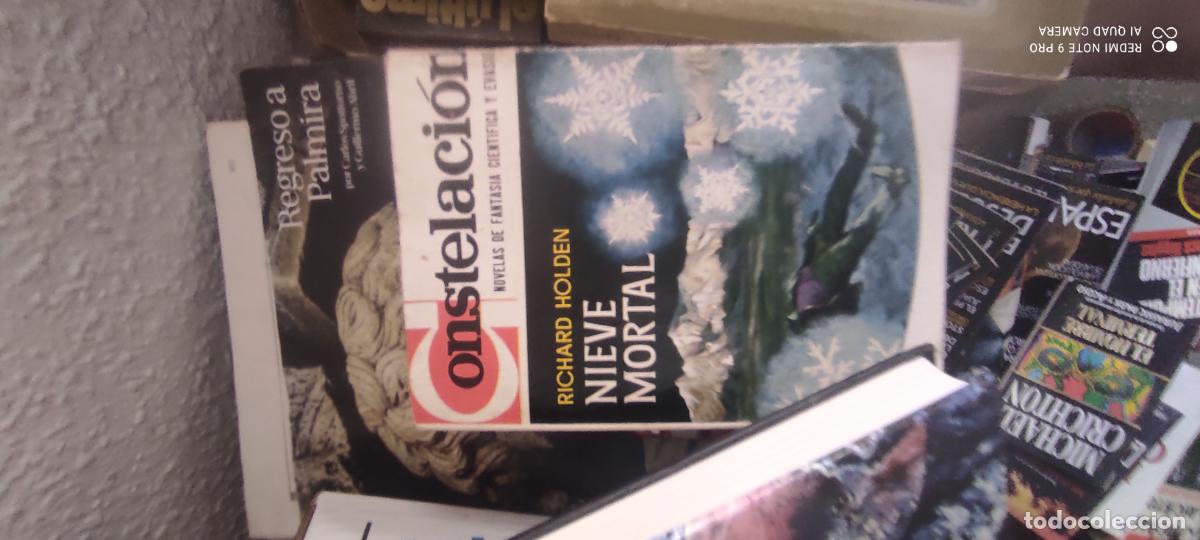 Libros de segunda mano: NIEVE MORTAL. / RICHARD HOLDEN. -ED. PLAZA Y JAN&Eacute;S - COLECCION CONSTELACI&Oacute;N.