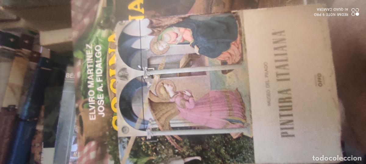 Libros de segunda mano: Pintura italiana en el Museo del Prado. Editorial Offo