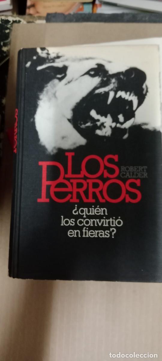Libros de segunda mano: LOS PERROS &iquest;QUI&Eacute;N LOS CONVIRTI&Oacute; EN FIERAS?. ROBERT GALDER. CIRCULO DE LECTORES. LIBRO CC-CE44