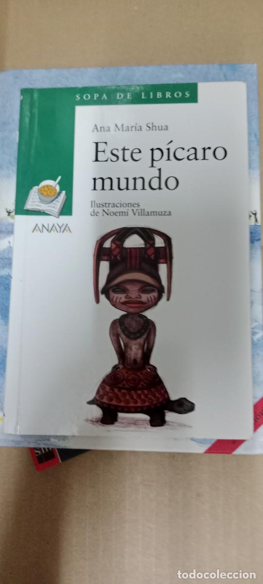 Libros de segunda mano: ESTE PICARO MUNDO ANA MARIA SHUA LIBRO CC-CE44