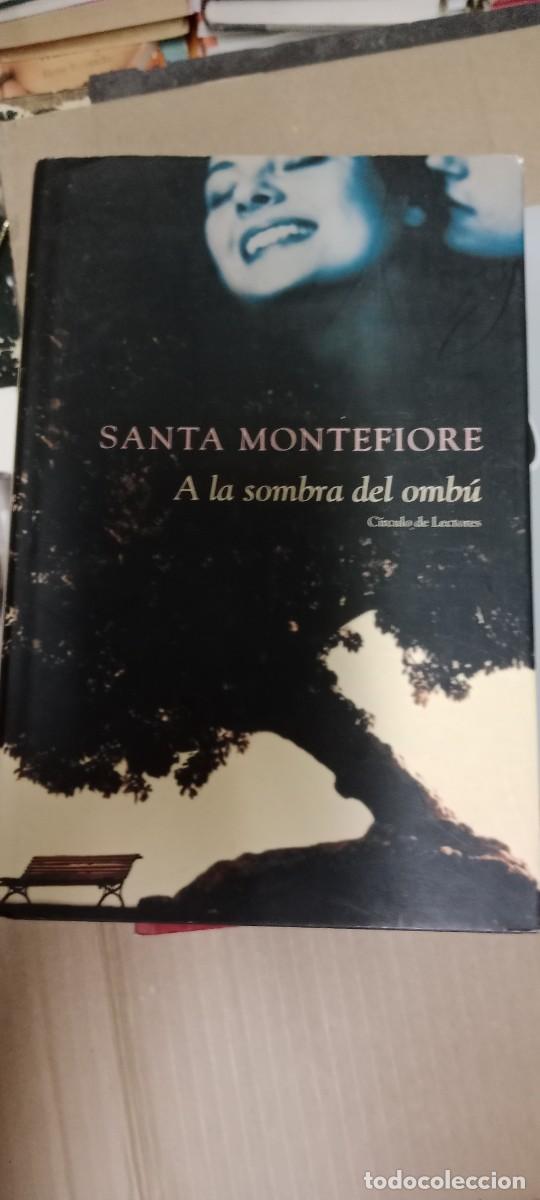 Libros de segunda mano: A la sombra del omb&uacute;.- Montefiore, Santa LIBRO CC-CE44