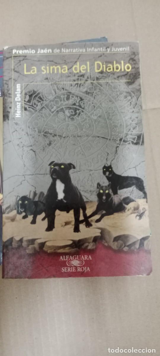 Libros de segunda mano: La Sima del Diablo -Heinz Delam- Ed. Alfaguara LIBRO CC-CE44