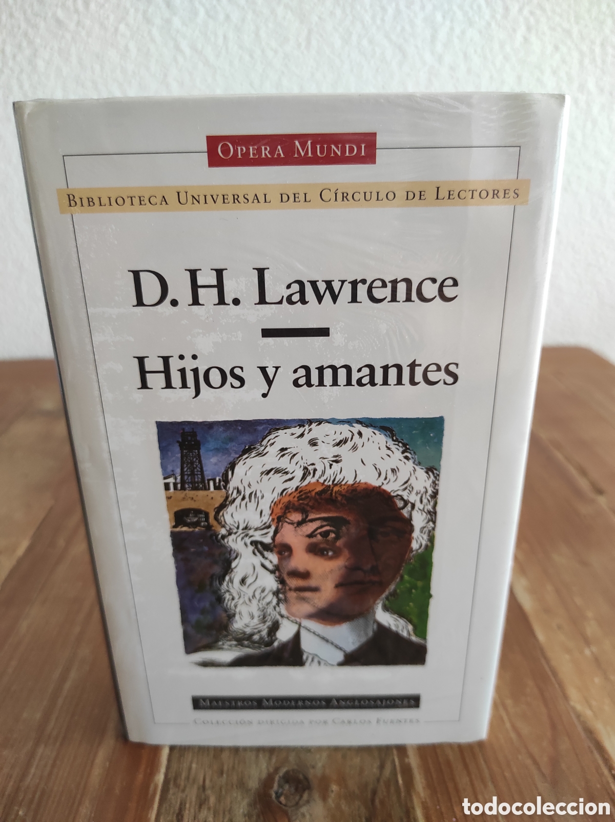 Libros de segunda mano: Hijos y amantes. D. H. Lawrence