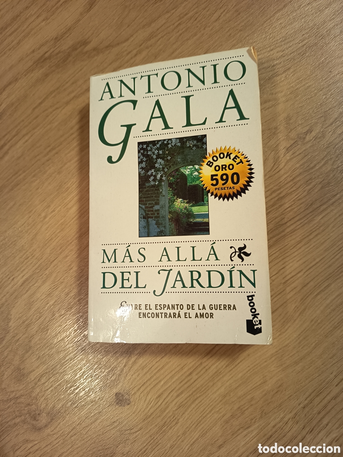 Libros de segunda mano: Libro: M&aacute;s all&aacute; del jard&iacute;n