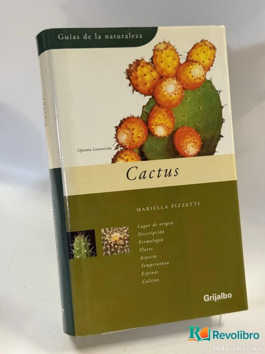 Livres d'occasion: Cactus - Mariella Pizzetti