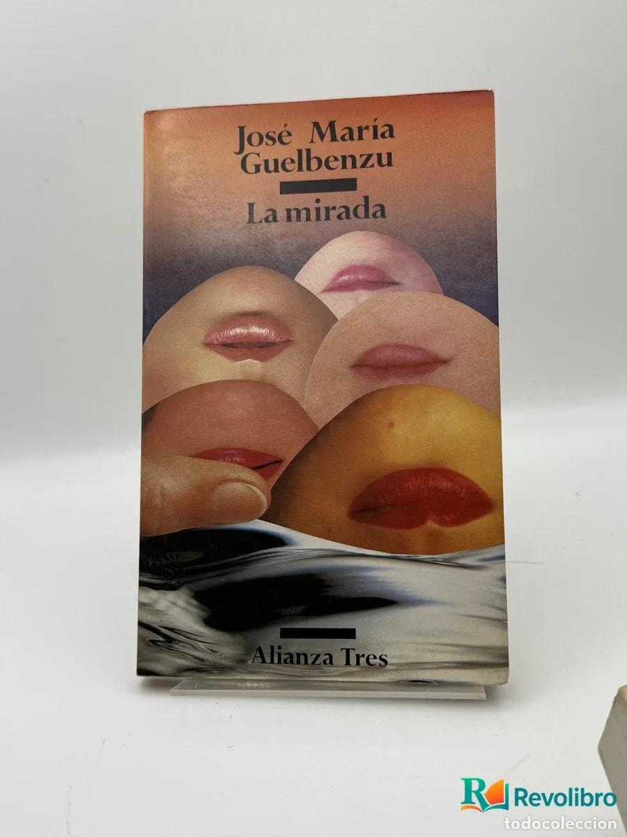 Libros de segunda mano: La mirada - Jos&eacute; Mar&iacute;a Guelbenzu
