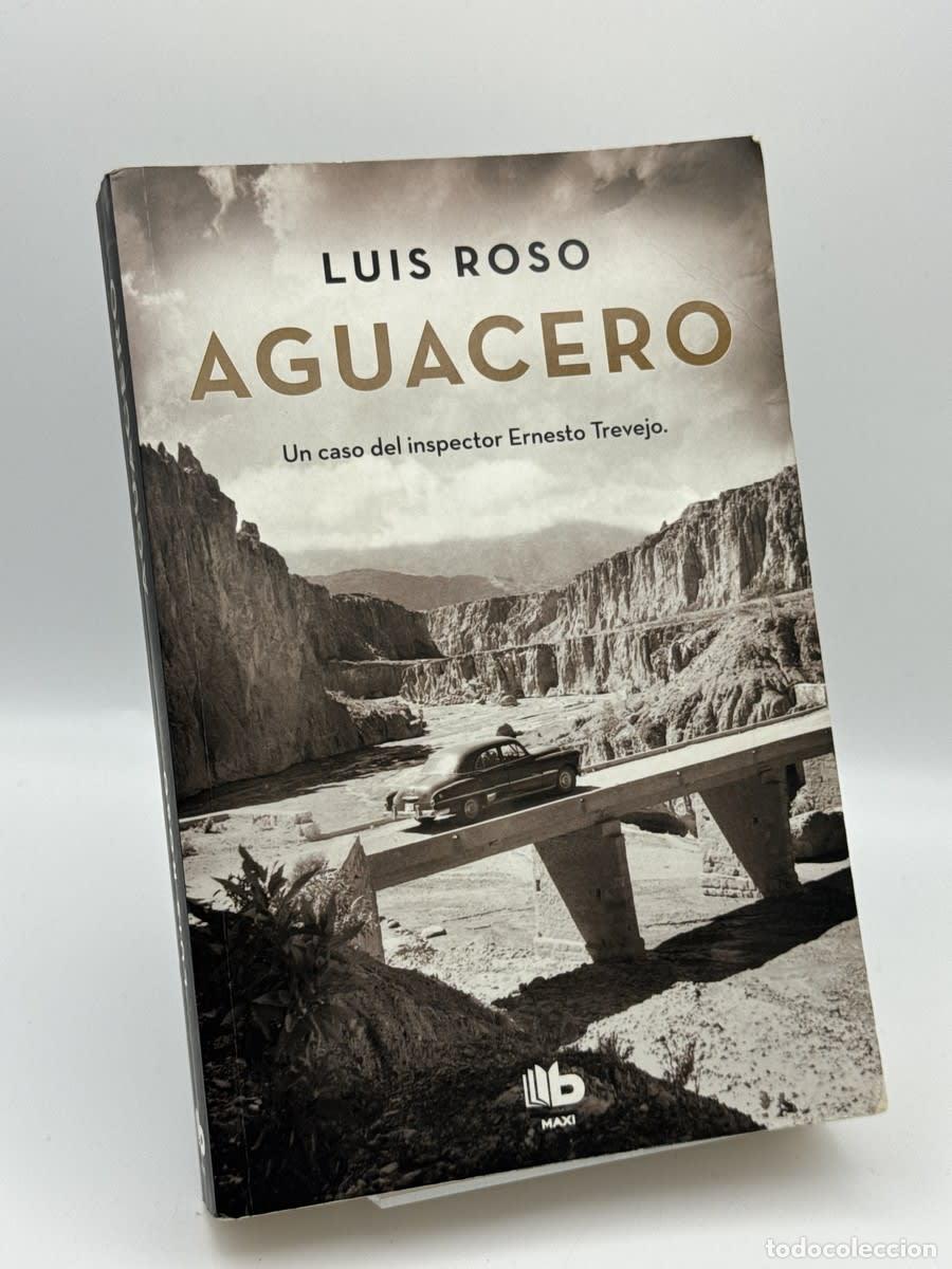 Libros de segunda mano: Aguacero - Luis Roso