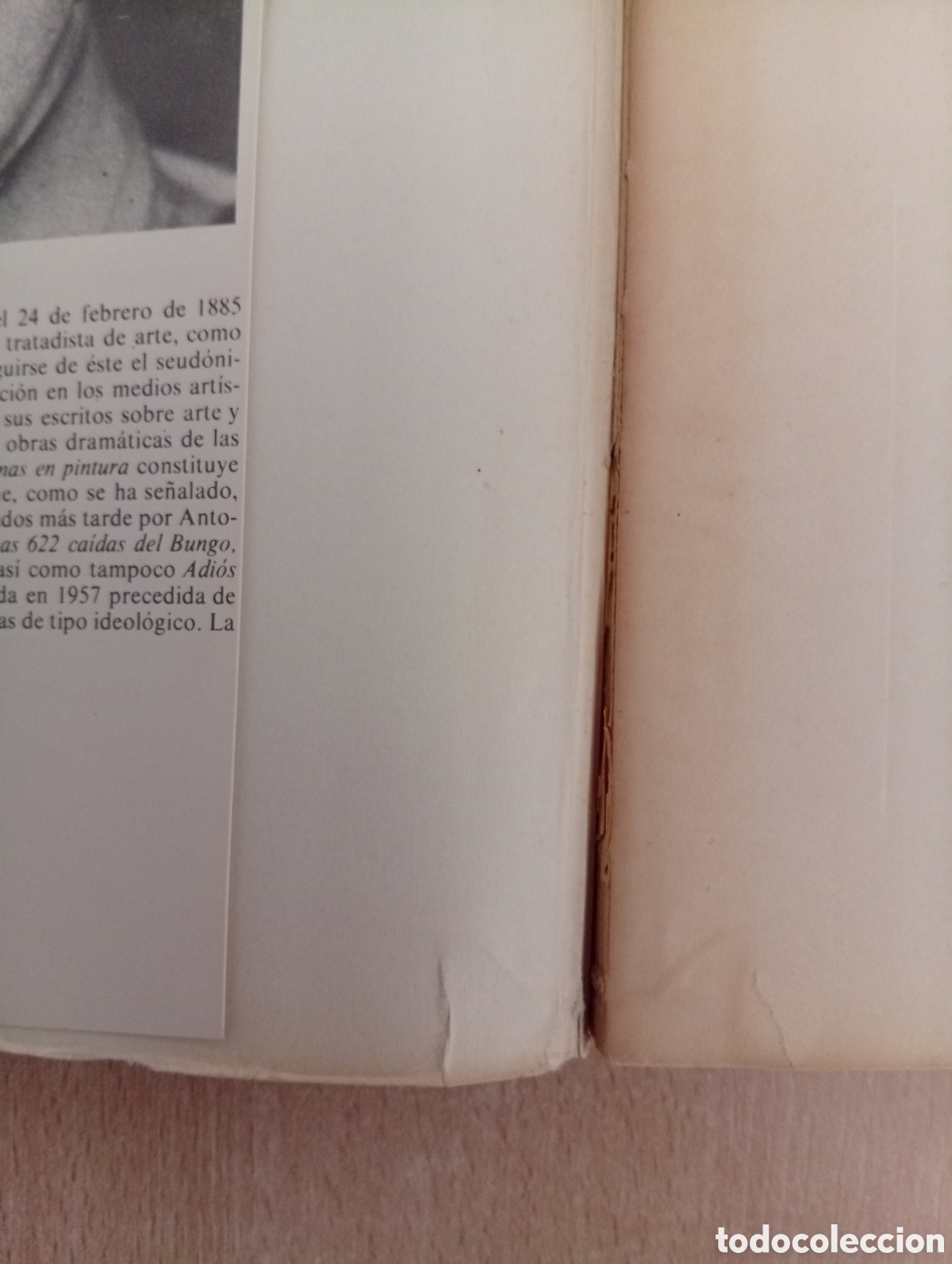 Libros de segunda mano: INSACIABILIDAD. Stanisław Ignacy Witkiewicz - Foto 11