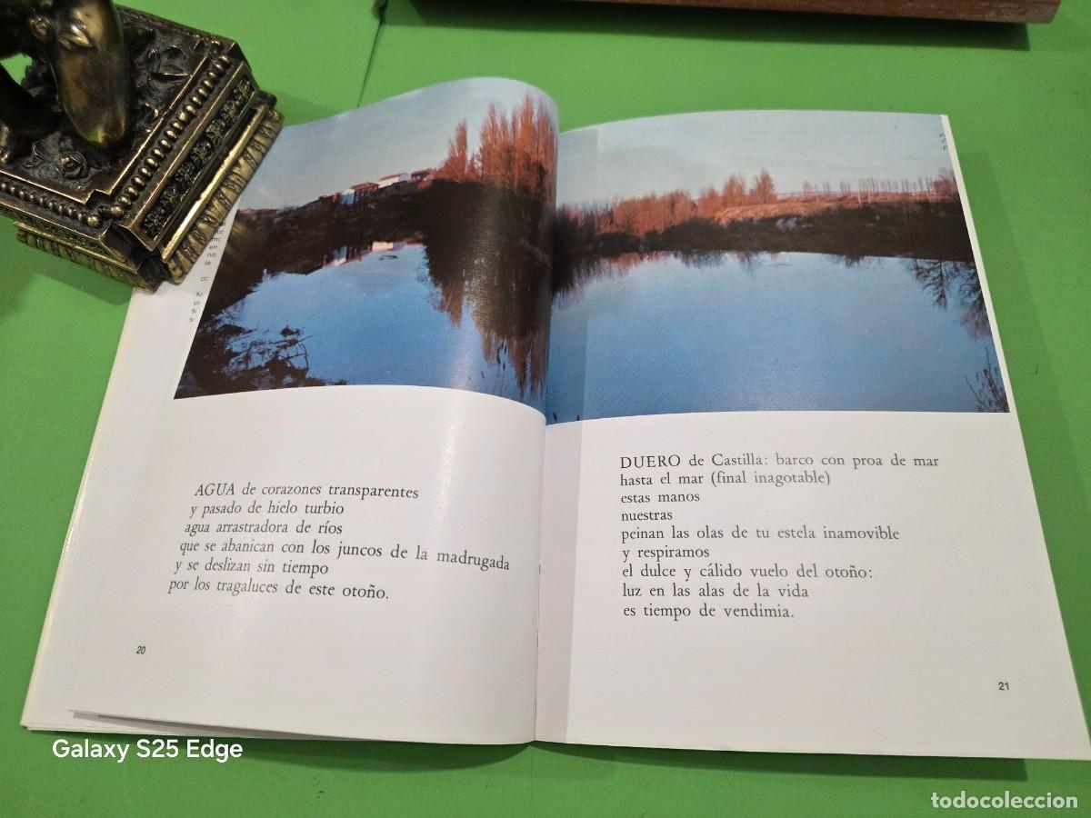 Libros de segunda mano: &rdquo;&rdquo;TIEMPO DE VENDIMIA&rdquo;&rdquo;...MANUEL ARANDILLA Y OTROS...1982... - Foto 10