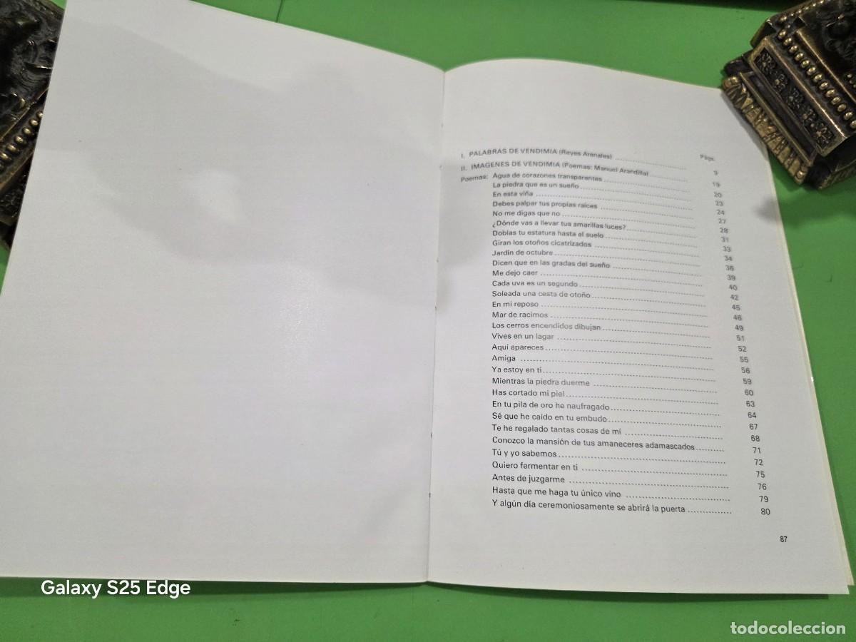 Libros de segunda mano: &rdquo;&rdquo;TIEMPO DE VENDIMIA&rdquo;&rdquo;...MANUEL ARANDILLA Y OTROS...1982... - Foto 18