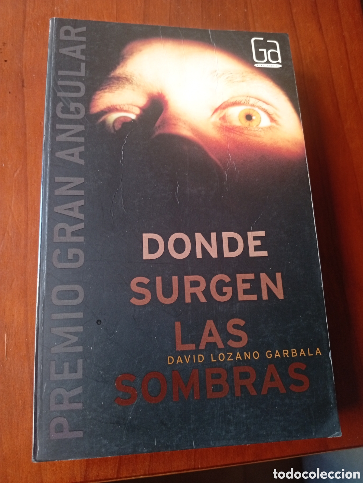 Libros de segunda mano: DONDE SURGEN LAS SOMBRAS DAVID LOZANO GARBALA PREMIO GRAN AGUILAR