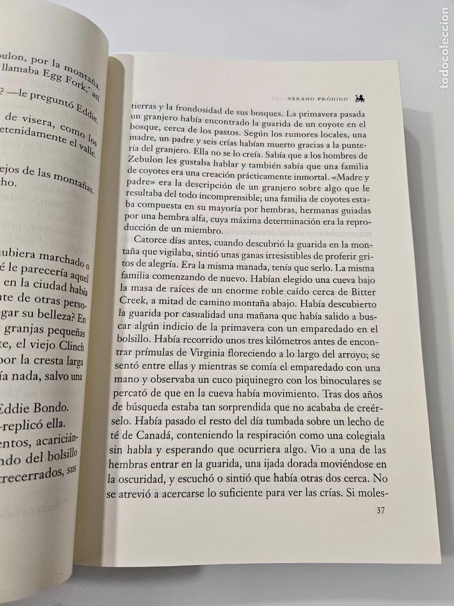 Libros de segunda mano: Verano pr&oacute;digo | Kingsolver, Barbara | Ediciones del Bronce, 2001 - Foto 5