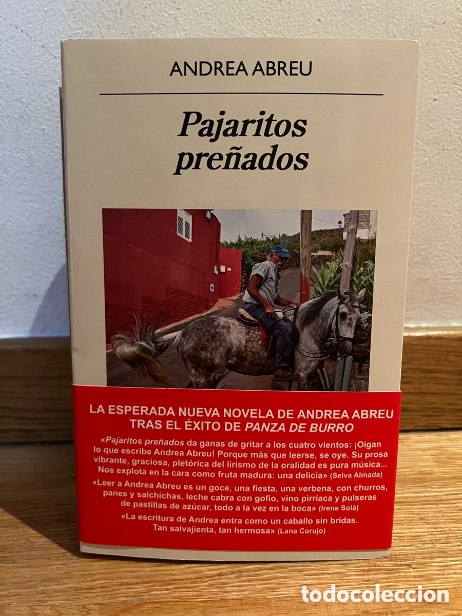 Libros de segunda mano: ANDREA ABREU Pajaritos pre&ntilde;ados