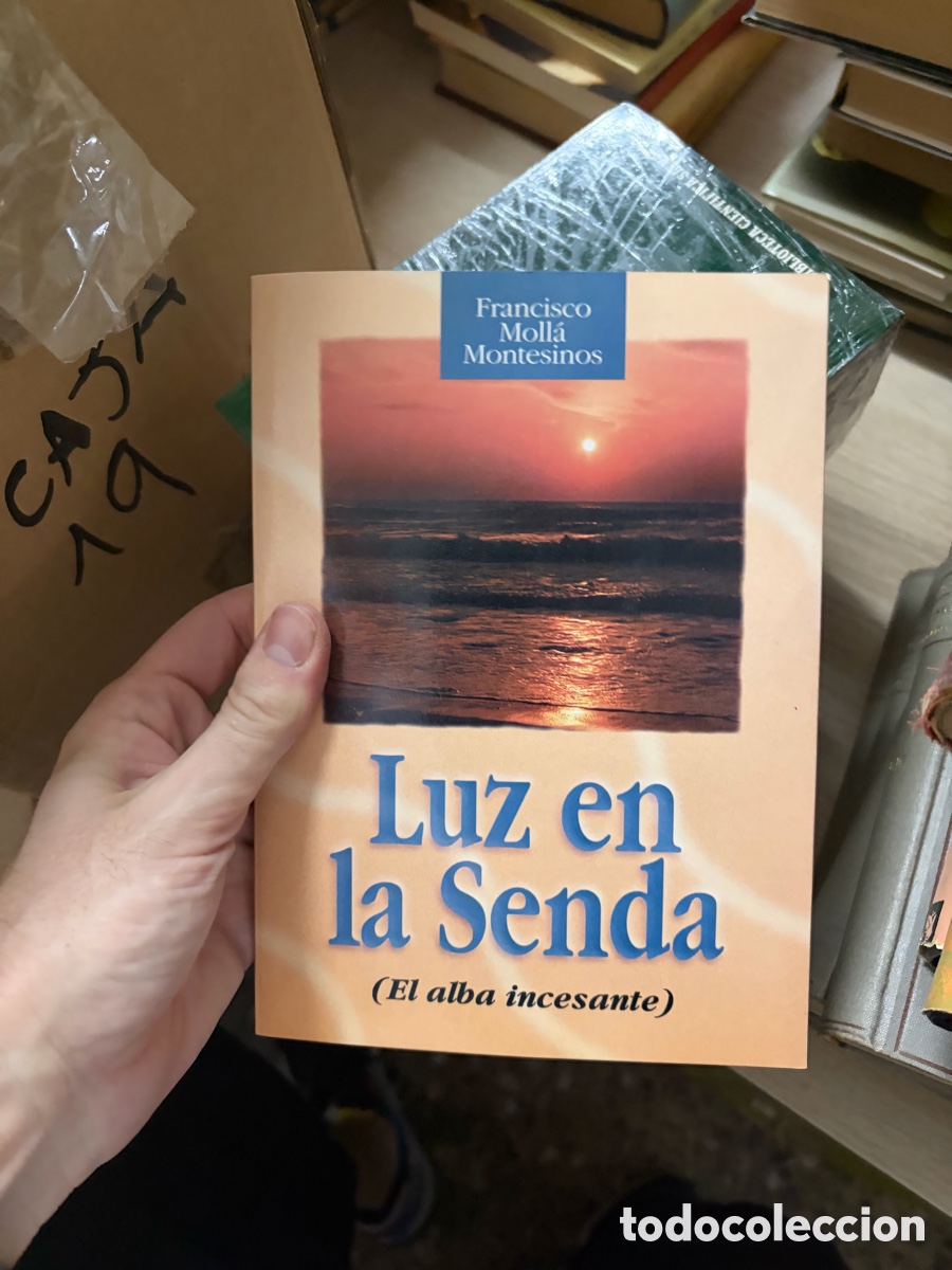 Libros de segunda mano: Caja19 Montesinos Luz en la Senda (El alba incesante)