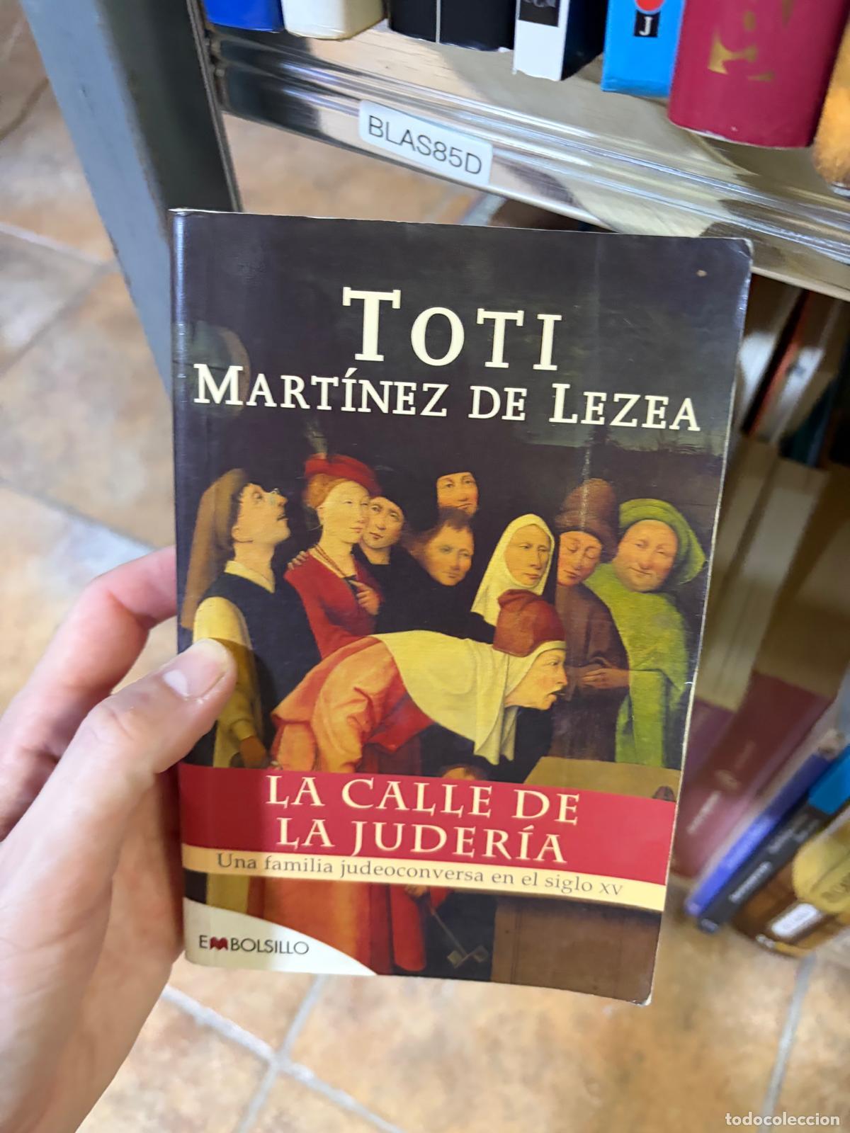 Libros de segunda mano: BLAS85D &mdash; La calle de la juder&iacute;a &mdash; Toti Mart&iacute;nez de Lezea &mdash; Embolsillo