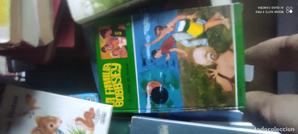 Libros de segunda mano: LA FAMILIA BOBBSEY Y EL LADRON DEL ECLIPSE