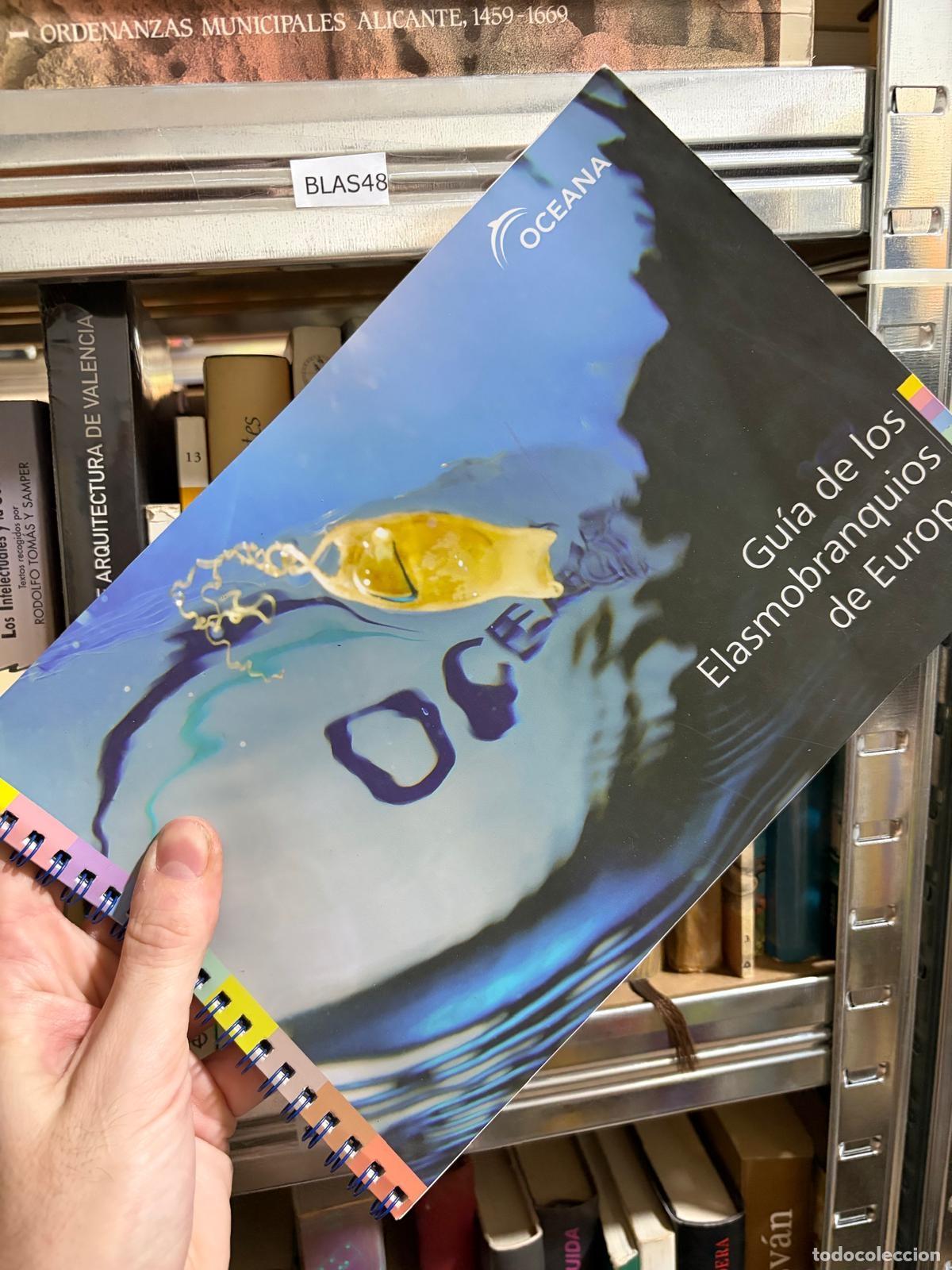 Libros de segunda mano: BLAS48 GU&Iacute;A DE LOS ELASMOBRANQUIOS DE EUROPA Oceana