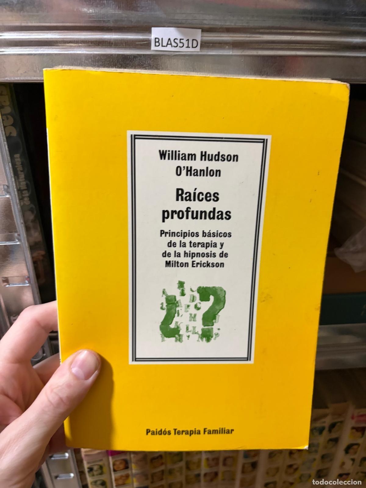 Libros de segunda mano: BLAS51D RA&Iacute;CES PROFUNDAS William Hudson O&rsquo;Hanlon Paid&oacute;s Terapia Familiar