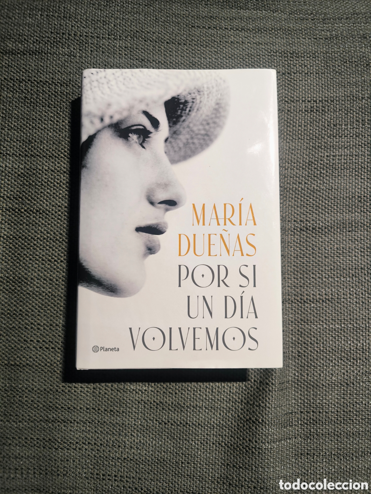 Libros de segunda mano: Por si un dia Volvemos (Planeta)