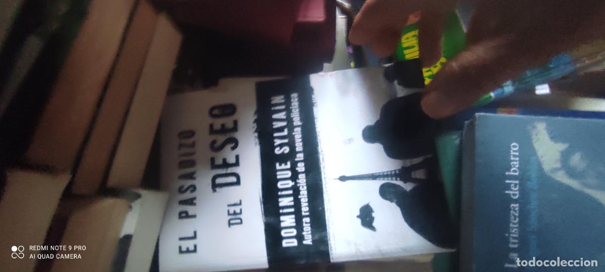 Libros de segunda mano: El pasadizo del deseo.- Sylvain, Dominique