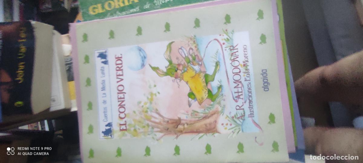 Libros de segunda mano: El conejo verde. A.R. Almod&oacute;var