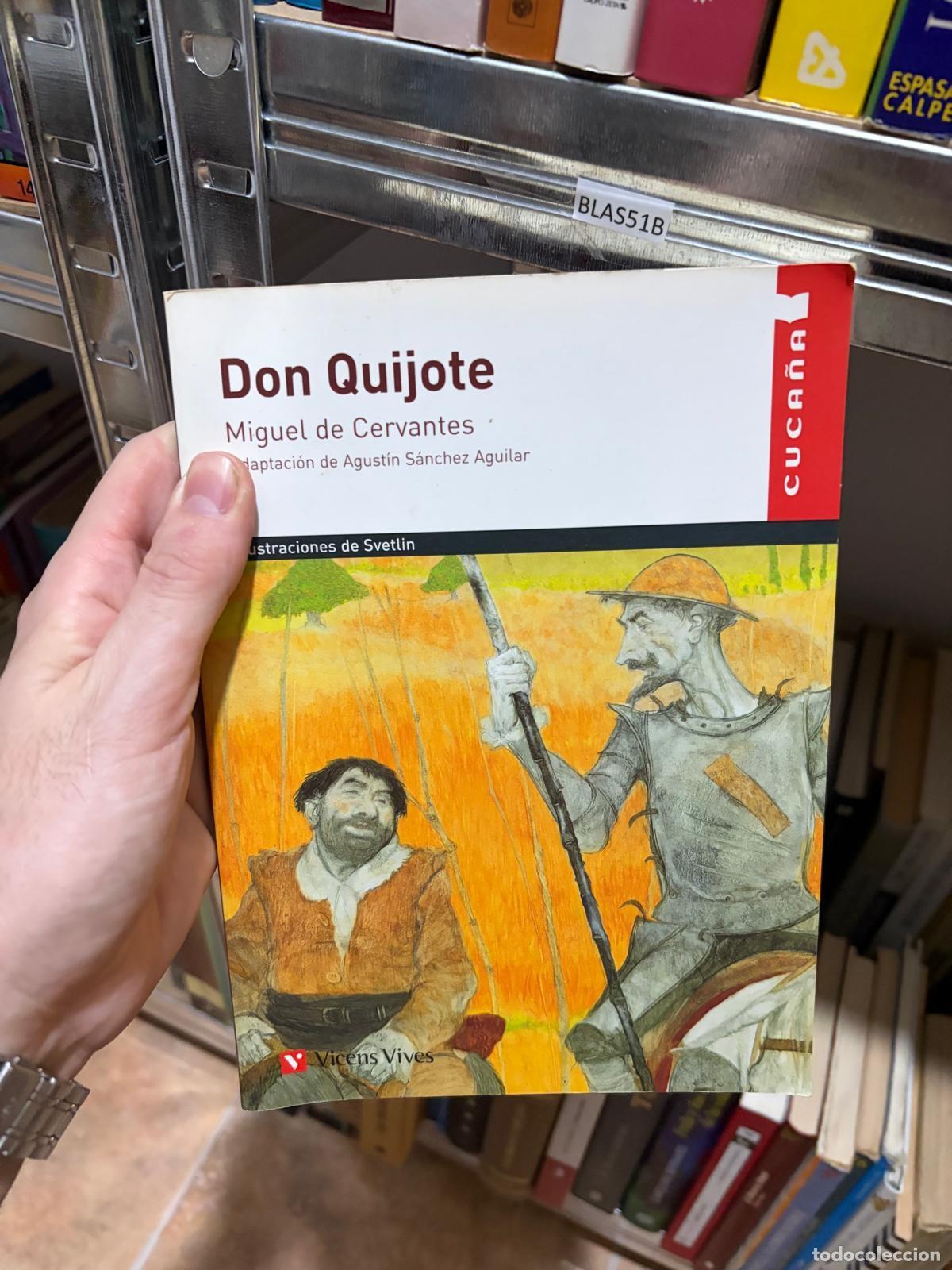 Libros de segunda mano: BLAS51R DON QUIJOTE Miguel de Cervantes Vicens Vives