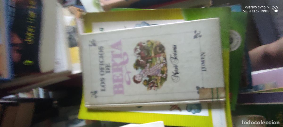 Libros de segunda mano: MERCE TORRENTS.- LOS OFICIOS DE BERTA