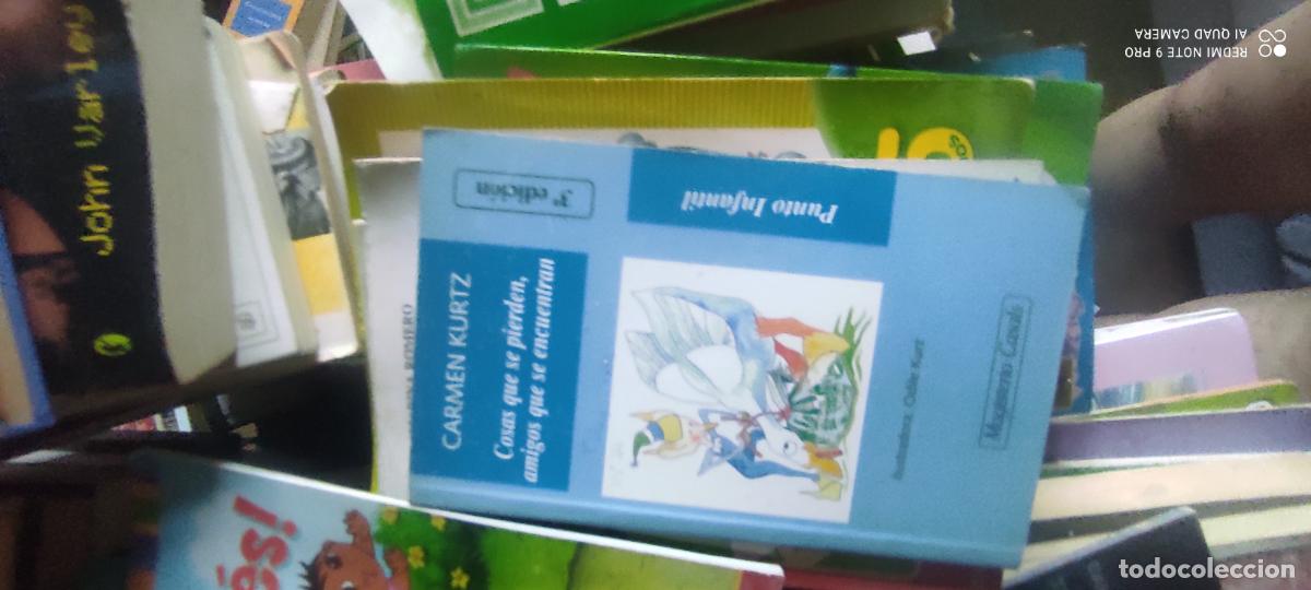 Libros de segunda mano: Cosas que se pierden, amigos que se encuentran Tapa blanda